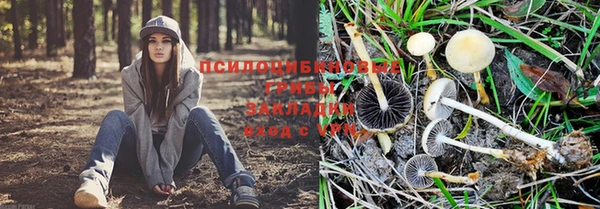 спайс Наволоки