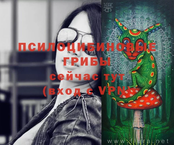 Альфа ПВП Нея