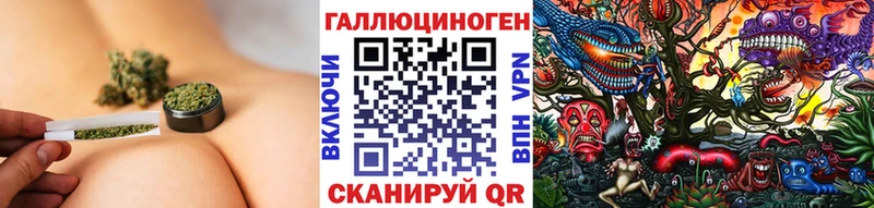 Галлюциногенные грибы Psilocybe Палласовка