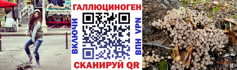 Галлюциногенные грибы Psilocybe  даркнет Telegram  Палласовка  купить закладку 